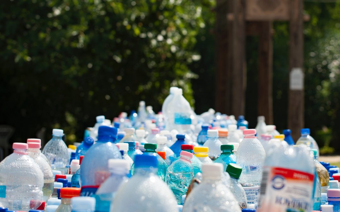 Quanto è effettivamente circolare il PET, la plastica più riciclabile e riciclata?