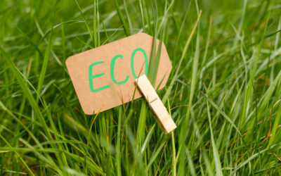 Ok dall’Europarlamento alla Direttiva Green Claims contro il greenwashing
