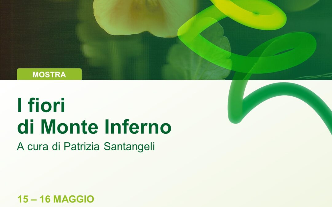 I fiori di Monte Inferno. Al Forum Compraverde 2024 la mostra di Patrizia Santangeli